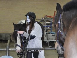 DSC_0233_web